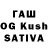 Amphetamine Premium Geidarova Jasya