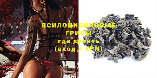 гашик Аркадак