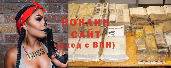 гашик Аркадак