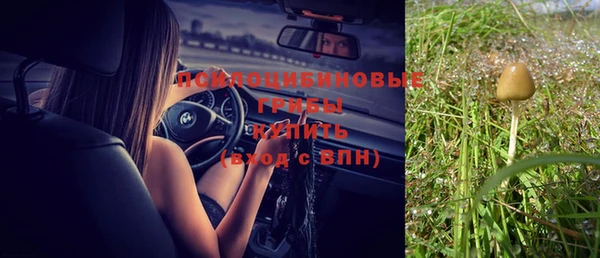 круглые Арсеньев