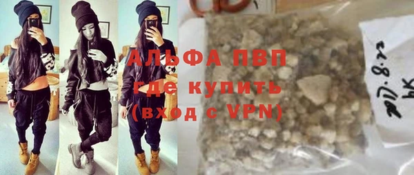 шишки Дмитровск